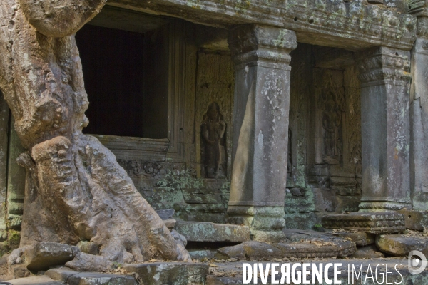 Temples d angkor/cambodge