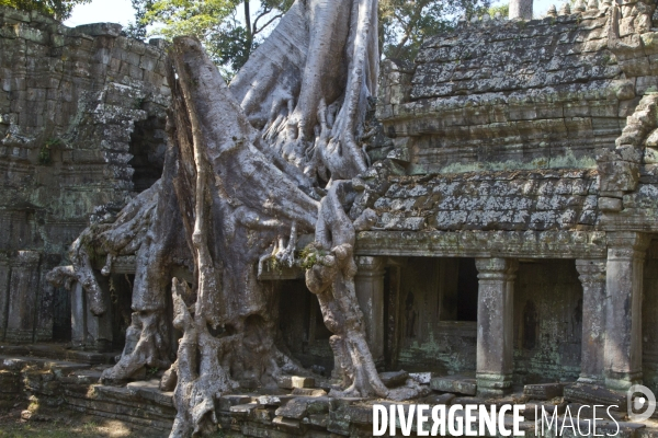 Temples d angkor/cambodge