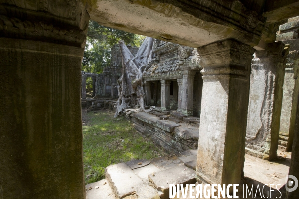 Temples d angkor/cambodge