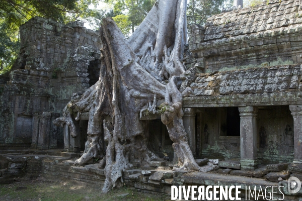 Temples d angkor/cambodge