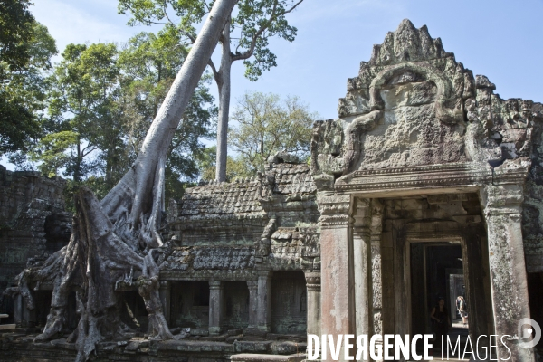 Temples d angkor/cambodge