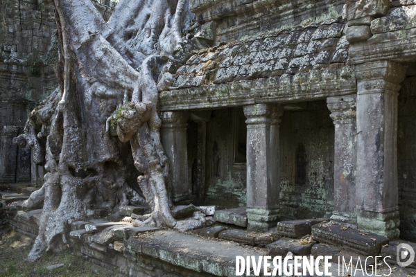 Temples d angkor/cambodge