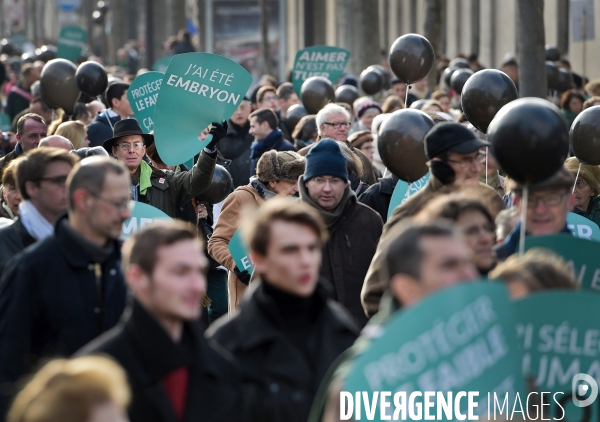 Marche pour la vie 2015