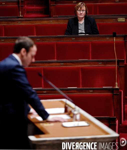 Débat sur le projet de la loi Macron