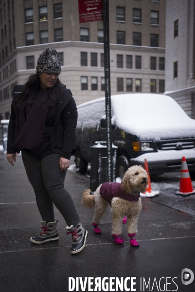 New York sous la neige