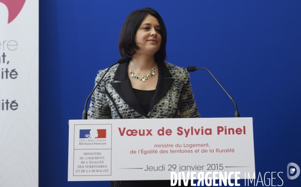 Sylvia Pinel , Voeux à la presse et aux acteurs de la construction