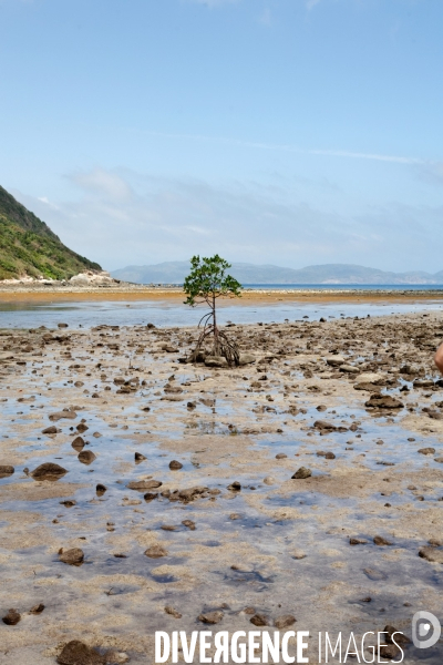 VIETNAM. L  archipel de Con Dao, son bagne, ses plages.