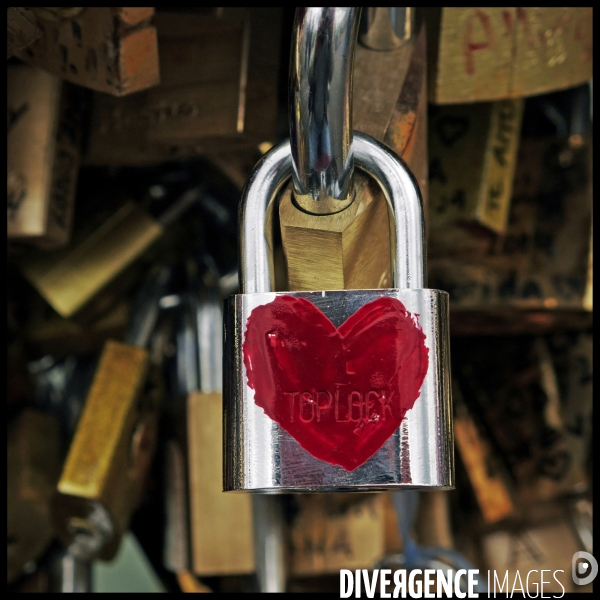 Paris Bridges Prisoner of Love locks. Les Ponts de Paris prisonnier des cadenas d amour.