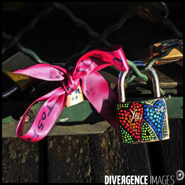 Paris Bridges Prisoner of Love locks. Les Ponts de Paris prisonnier des cadenas d amour.