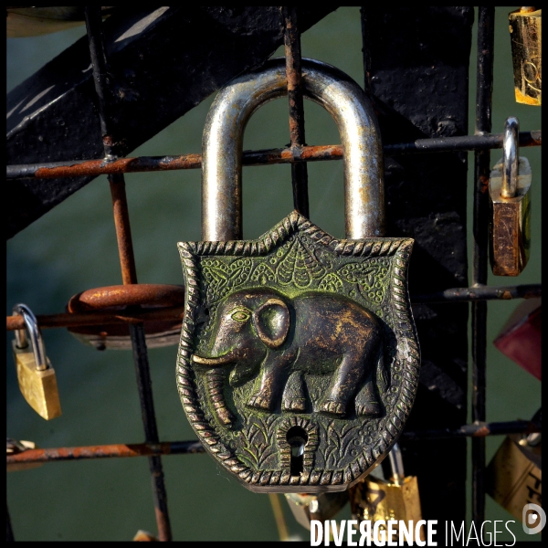 Paris Bridges Prisoner of Love locks. Les Ponts de Paris prisonnier des cadenas d amour.