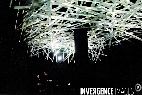 Archives : art contemporain. Exposition Yann Kersale a la Fondation EDF