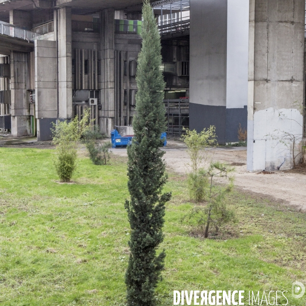 Promenade urbaine Porte de Bagnolet