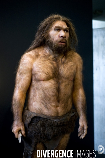 Portrait reconstitué par Elisabeth Daynes de l homme de Neandertal.