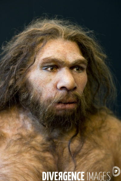 Portrait reconstitué par Elisabeth Daynes de l homme de Neandertal.
