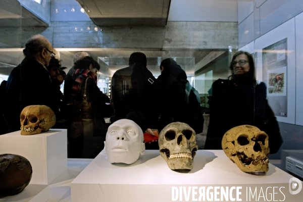 Neandertal l  Europeen.Exposition au musee de la Prehistoire d Ile de France.