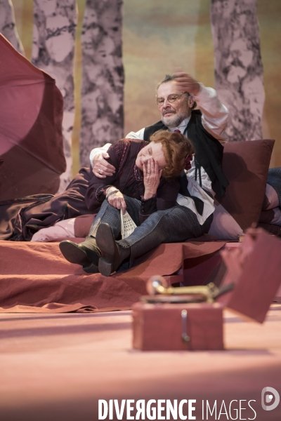 Les Estivants d après Maxime Gorki - Mise en scene Gerard Desarthe - Salle Richelieu - Comedie-Francaise