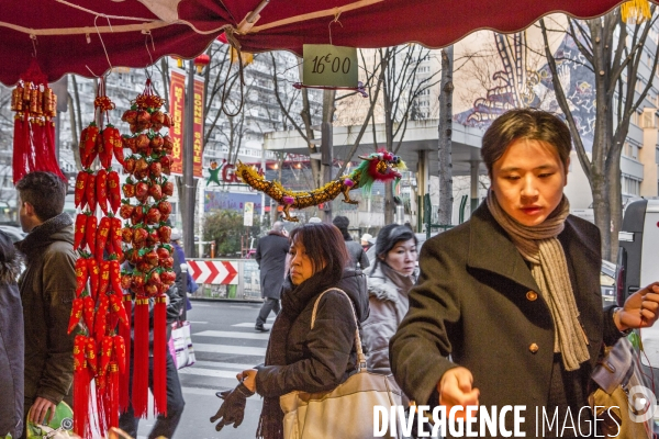 L année de la Chèvre. Nouvel An chinois 2015.