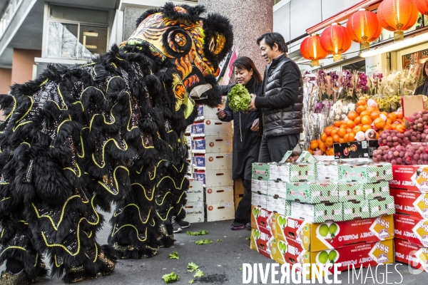 L année de la Chèvre. Nouvel An chinois 2015.