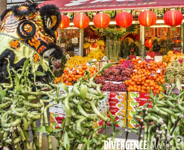 L année de la Chèvre. Nouvel An chinois 2015.