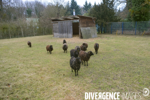 La ferme de Paris