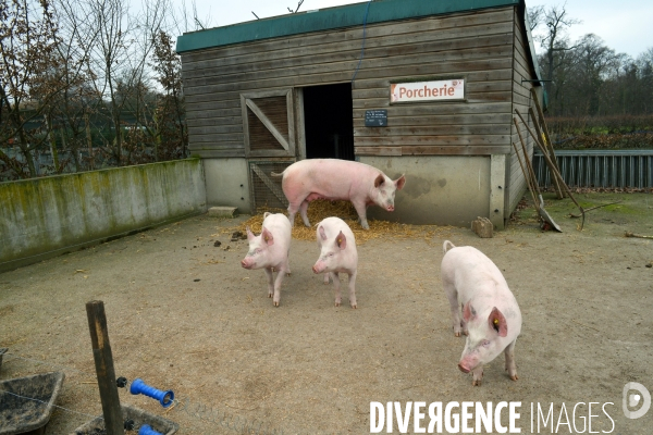 La ferme de Paris