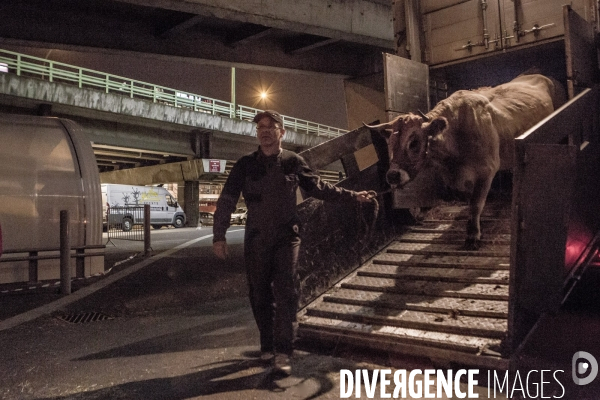 Les coulisses du Salon de l Agriculture #1 - L arrivee des animaux