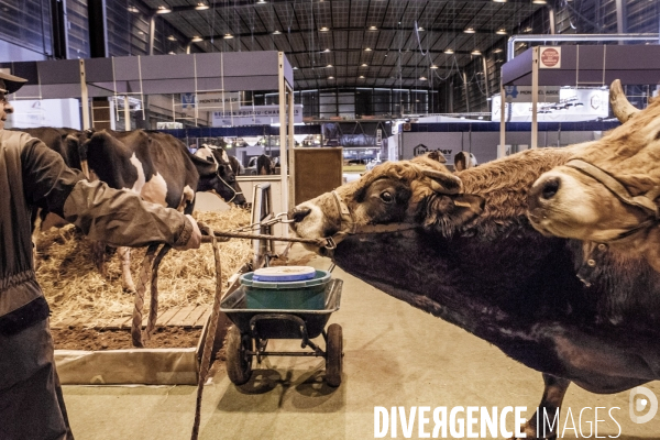 Les coulisses du Salon de l Agriculture #1 - L arrivee des animaux