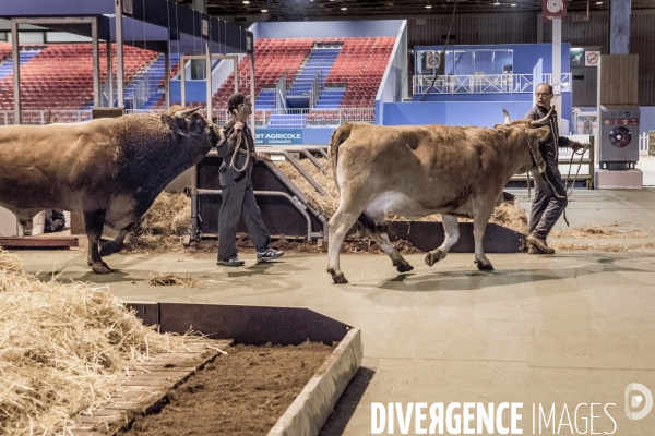 Les coulisses du Salon de l Agriculture #1 - L arrivee des animaux