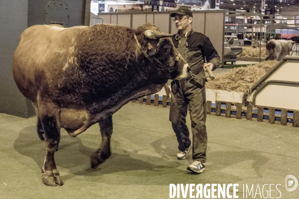 Les coulisses du Salon de l Agriculture #1 - L arrivee des animaux