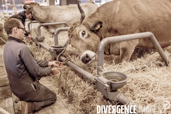 Les coulisses du Salon de l Agriculture #1 - L arrivee des animaux