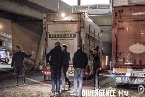 Les coulisses du Salon de l Agriculture #1 - L arrivee des animaux