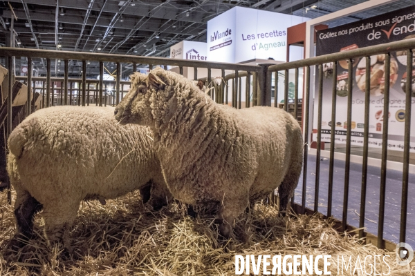 Les coulisses du Salon de l Agriculture #1 - L arrivee des animaux