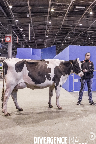 Les coulisses du Salon de l Agriculture #1 - L arrivee des animaux