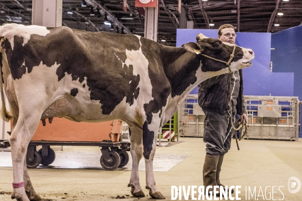 Les coulisses du Salon de l Agriculture #1 - L arrivee des animaux