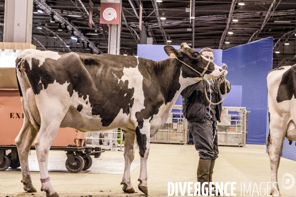 Les coulisses du Salon de l Agriculture #1 - L arrivee des animaux