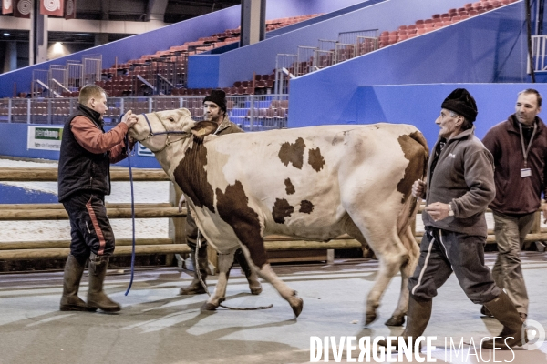 Les coulisses du Salon de l Agriculture #1 - L arrivee des animaux