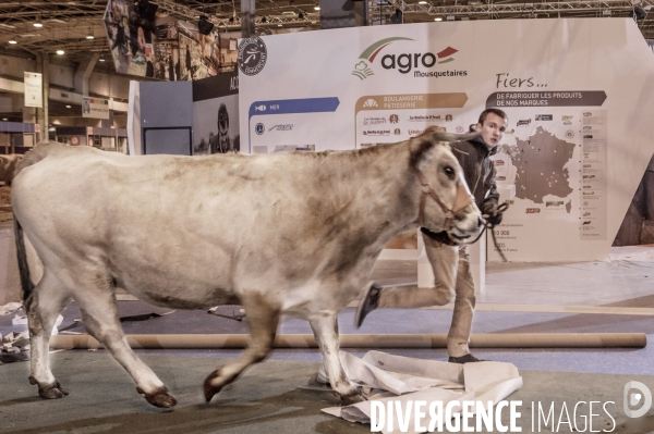 Les coulisses du Salon de l Agriculture #1 - L arrivee des animaux