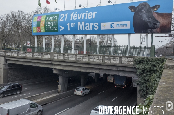 Les coulisses du Salon de l Agriculture #1 - L arrivee des animaux