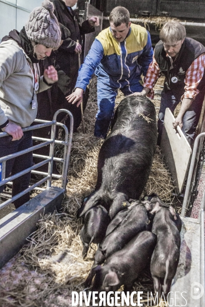 Les coulisses du Salon de l Agriculture #2  J-1 avant l ouverture