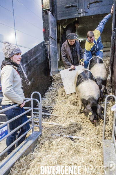 Les coulisses du Salon de l Agriculture #2  J-1 avant l ouverture