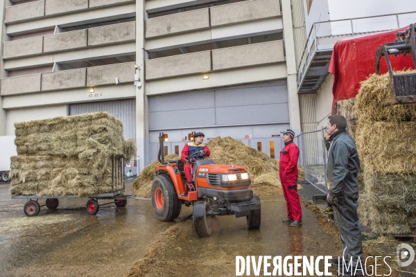 Les coulisses du Salon de l Agriculture #2  J-1 avant l ouverture