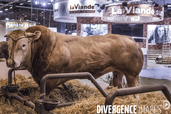 Les coulisses du Salon de l Agriculture #2  J-1 avant l ouverture