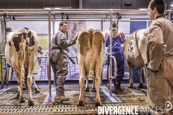 Les coulisses du Salon de l Agriculture #2  J-1 avant l ouverture