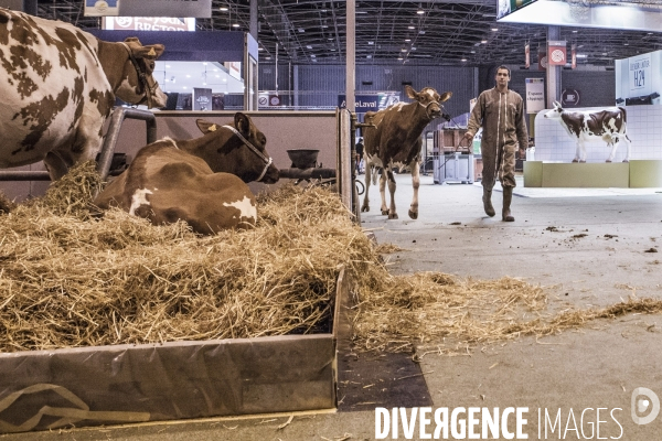 Les coulisses du Salon de l Agriculture #2  J-1 avant l ouverture