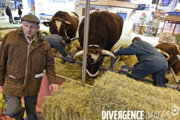 Paris Salon de l Agriculture 2015 : M. Bertrand Salmon et son champion Galant de 1545 kgs