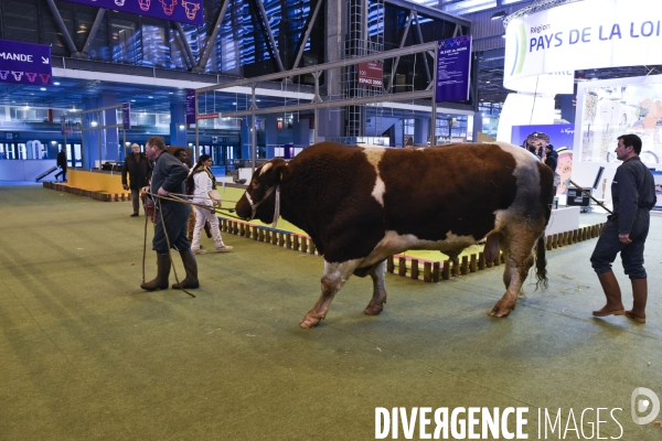 Paris Salon de l Agriculture 2015 : M. Bertrand Salmon et son champion Galant de 1545 kgs