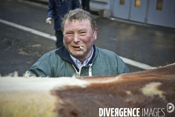 Paris Salon de l Agriculture 2015 : M. Bertrand Salmon et son champion Galant de 1545 kgs