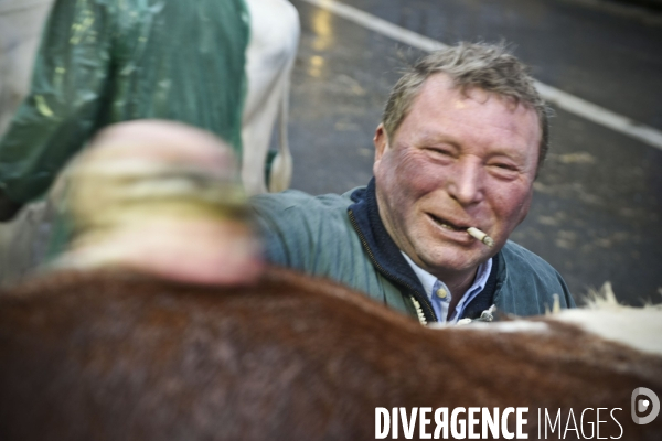 Paris Salon de l Agriculture 2015 : M. Bertrand Salmon et son champion Galant de 1545 kgs