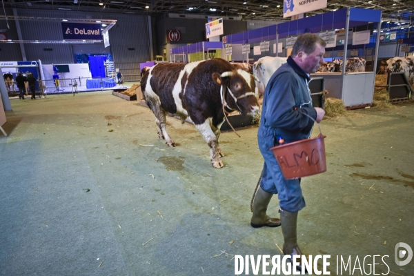 Paris Salon de l Agriculture 2015 : M. Bertrand Salmon et son champion Galant de 1545 kgs