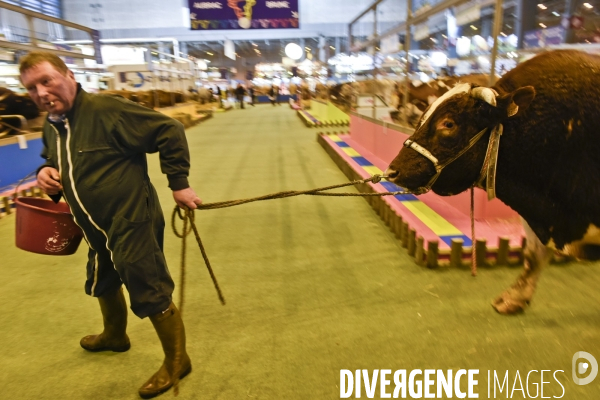 Paris Salon de l Agriculture 2015 : M. Bertrand Salmon et son champion Galant de 1545 kgs